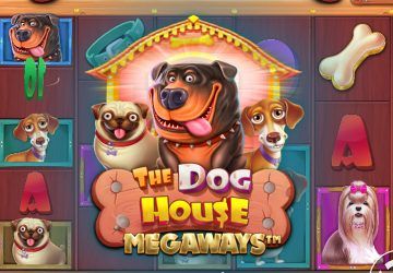 The Dog House